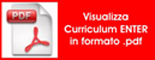 curriculum enter sintetico